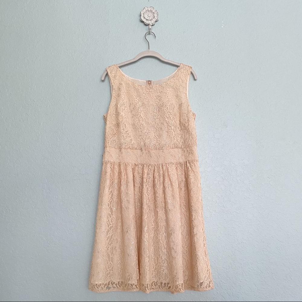 NWT•Ann Taylor LOFT•Petite Sleeveless Lace Dress